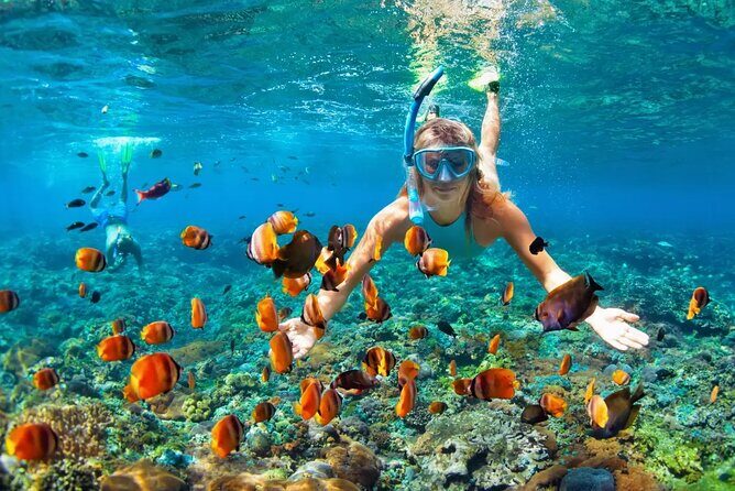 Snorkeling Activity in Aqaba with Lunch and Transportation (Boat) - Who Would Enjoy This Tour Most?
