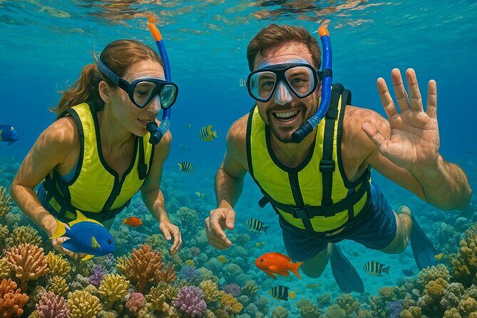 Snorkeling adventure at Puerto Morelos Reef National Park - Who Should Book This Tour?