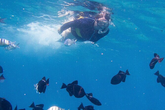 Snorkeling Adventure at Turtle Canyon - Why Travelers Love This Tour