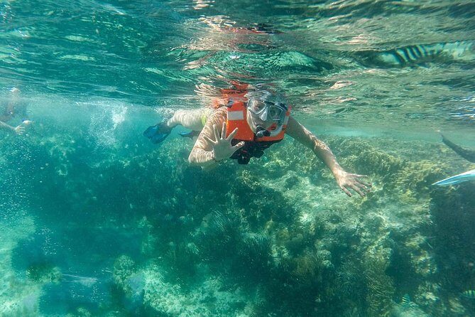 Snorkeling Adventure in Isla Mujeres - Who Should Book This Tour?