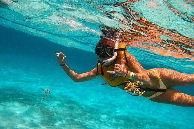 Snorkeling Adventure in Tulum Beach, Kaan Luum Lagoon and Cenote - The Sum Up
