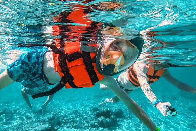 Snorkeling Adventure Swim with Sea Turtles at Akumal - What the Tour Includes and What You Should Know