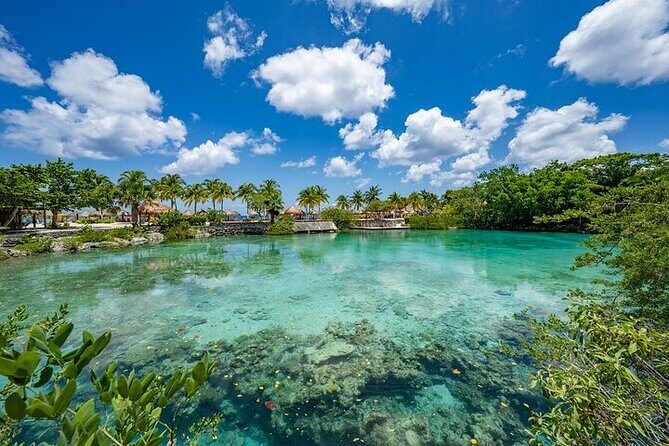 Snorkeling Adventure with Lunch and Tequila Tour - Who Should Consider This Tour?