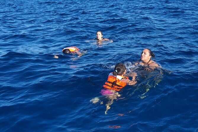 snorkeling adventure - Who Should Consider This Tour?