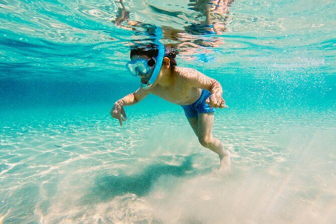 Snorkeling and Dolphin Watching Experience in Destin - Final Thoughts