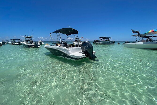 SNORKELING and SANDBAR ADVENTURE! - The Sum Up