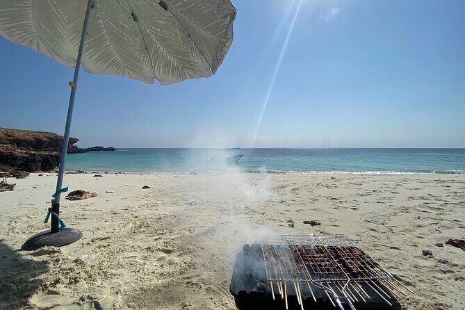 Snorkeling at Dimaniyat Islands and Dolphin Watching - Real Experiences & Honest Insights