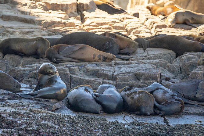 Snorkeling at Pelicans Rock - The Itinerary in Detail
