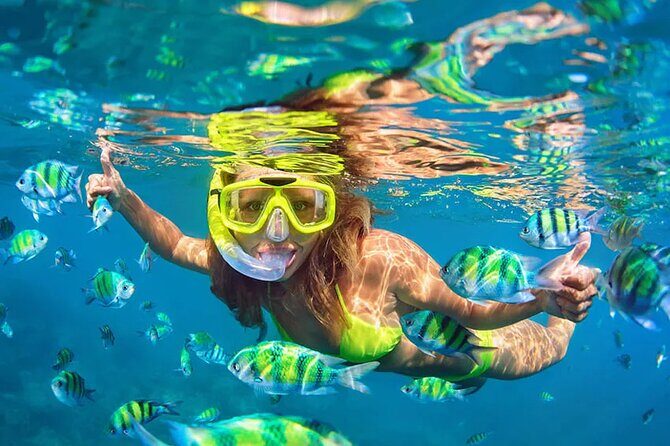 Snorkeling Combo 3 x 1 Lagoon Cenote Reef with Tulum Temples - What to Expect and Practical Tips