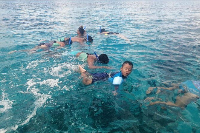 Snorkeling Experience in Cozumel with Transportation from Cancun - Transport and Timing: Why It Matters
