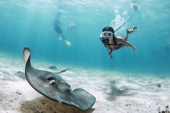 Snorkeling Experience on a NEMO Diving System - Why This Tour Stands Out
