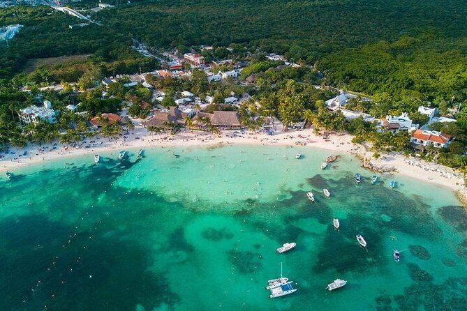 Snorkeling Experience with Turtles in Cenote in Riviera Maya - Practical Details and What to Expect