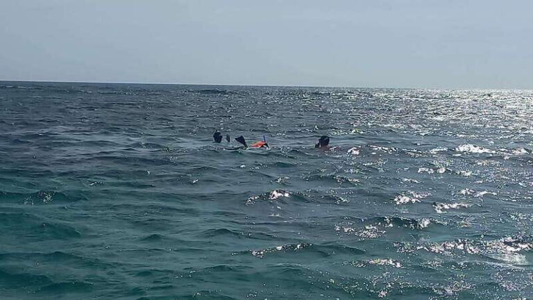 Snorkeling Express Puerto Morelos - Who Should Book This Tour?