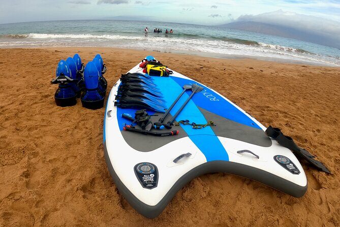 Snorkeling for Non-Swimmers Guided Tour - Wailea Beach - Who Should Book This Tour?