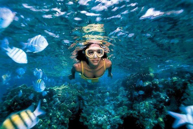 Snorkeling & Kayacking Day Trip Royal Garrafon Park Bassic Classic - The Itinerary in Detail