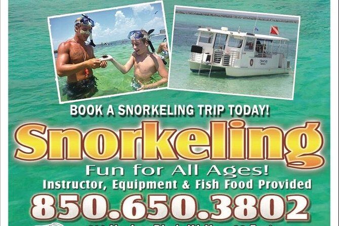 Snorkeling, Shelling & Eco Excursion - Who Will Love This Tour?