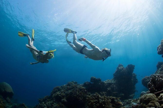 Snorkeling Tour at Land's End in Cabo San Lucas - The Sum Up