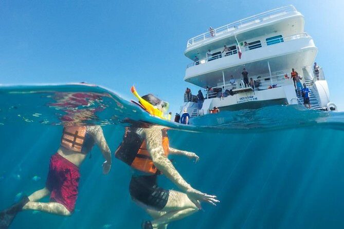 Snorkeling tour in Cabo San Lucas - Practical Tips for Booking and Enjoying the Tour