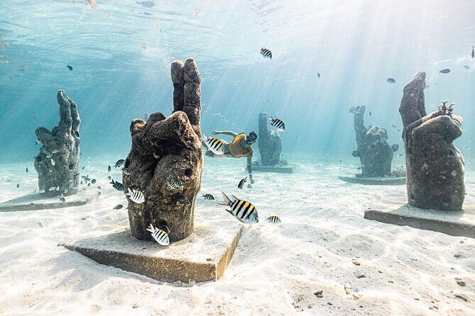 Snorkeling Tour with Turtles and Stingrays Puerto Morelos - The Sum Up