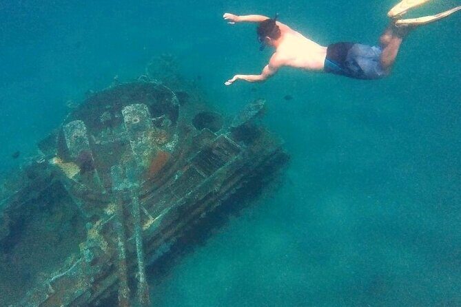 Snorkeling Trip with pick up ( beach) - What Makes This Snorkeling Trip Stand Out?