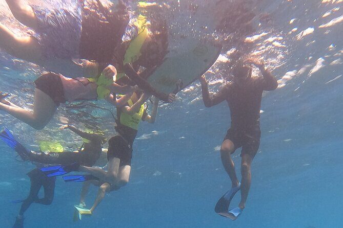 Snorkeling with Turtle/Water Scooter/Paddleboard Adventures Oahu - What to Expect: A Full Breakdown of the Experience