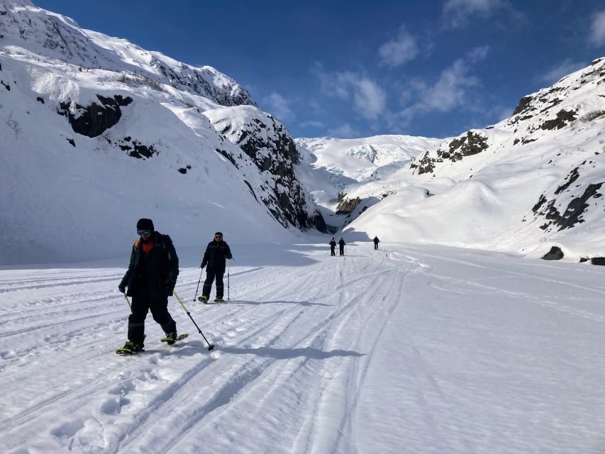 Snowmobile and Snowshoe Dual Adventure from Seward, AK - Snowmobiling: The Heart-Pumping Highlight
