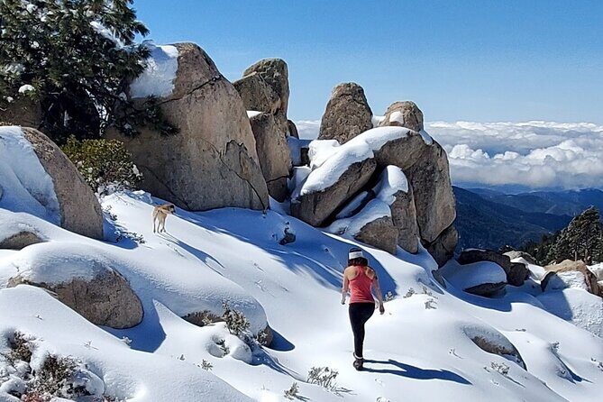 Snowshoe Tour Big Bear Lake with Hot Chocolate