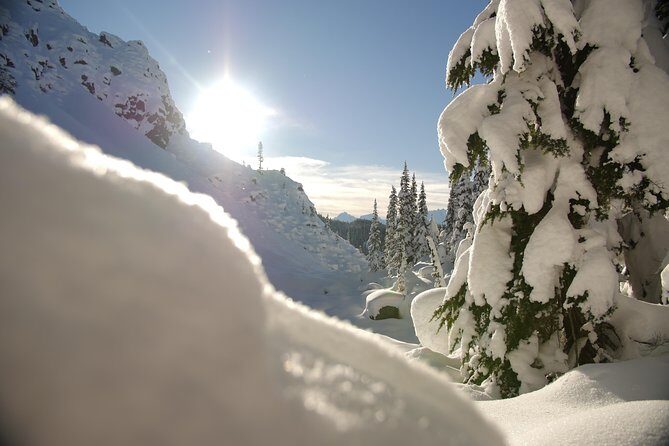 Snowshoe Tours - Who Should Book This Snowshoe Tour?