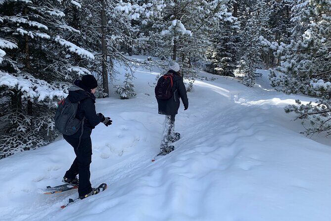 Snowshoeing Adventure in the Rocky Mountains Close to Denver - Why This Tour Stands Out