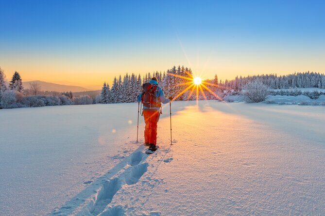 Snowshoeing at The Top of The Sea to Sky Gondola - Guides and Personal Touches