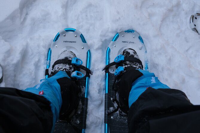 Snowshoeing in Rocky Mountains - What the Reviews Say About This Tour