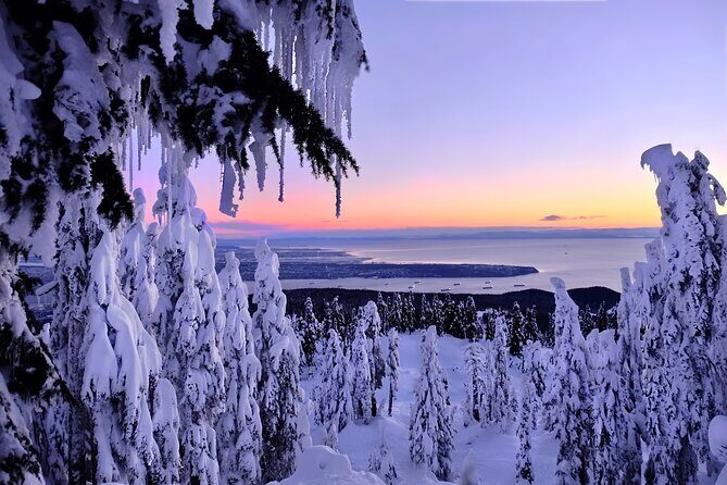 Snowshoeing In Vancouver's Winter Wonderland - The Refreshment Break
