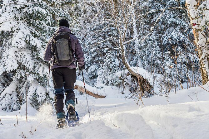 Snowshoeing Tour in Jacques-Cartier National Park - FAQ