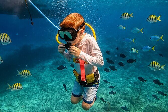 Snuba Cabo San Lucas Dive Without a Tank - What’s Included and What to Bring