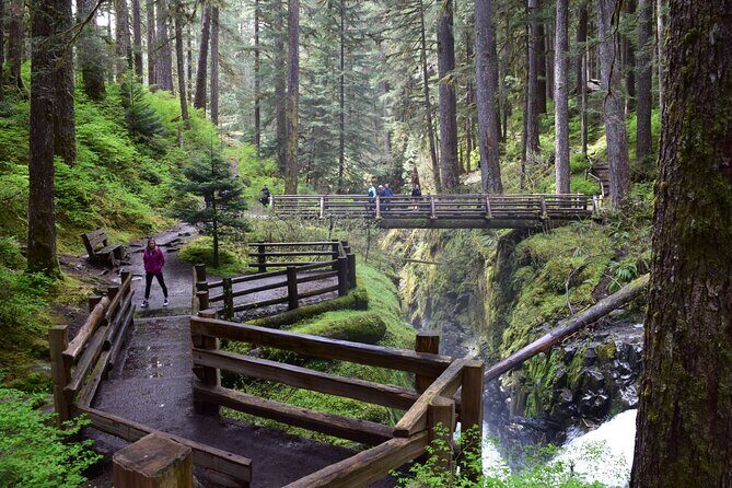 Sol Duc, Lake Crescent, and Hurricane Ridge Guided Tour in Olympic National Park - Why This Tour Offers Great Value