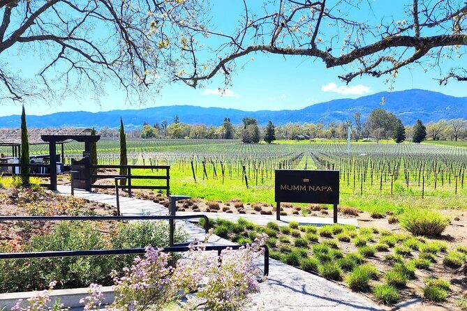 Sonoma and Napa Champagne Wine Private Tour Half Day - What Travelers Say: Authentic Perspectives
