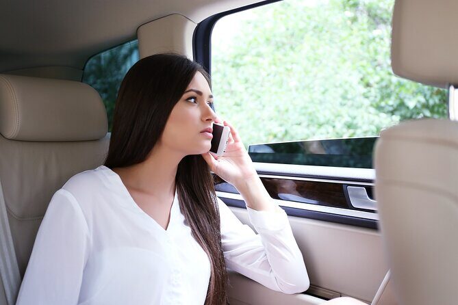 Sonoma and Napa Wine Tour with Limousine Service - Who Would Love This Tour?