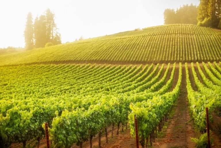 Sonoma County: Tasting Pass (Choose 1, 2, or 90 Days) - Who Will Enjoy This Experience?