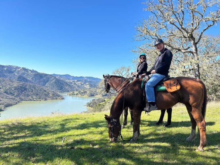 Sonoma County: Wine Country Horseback Riding Adventure - Who Will Appreciate This Tour?