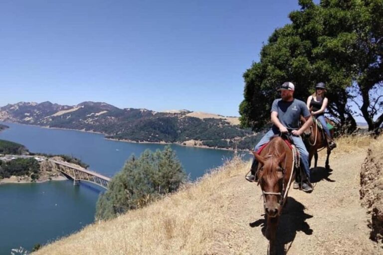 Sonoma: Horseback Riding Tour to Skaggs Vista Mountain - Why We Think This Tour Is a Good Deal