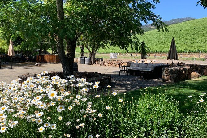 Sonoma or Napa -8hr- Private Wine Tour with Concierge Service - The Value of a Guided, Private Experience
