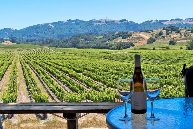 Sonoma Valley All-Inclusive Wine Tour - Authenticity and Quality: What Travelers Can Expect