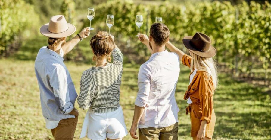 Sonoma Valley: Guided Winery Tour with Picnic Lunch