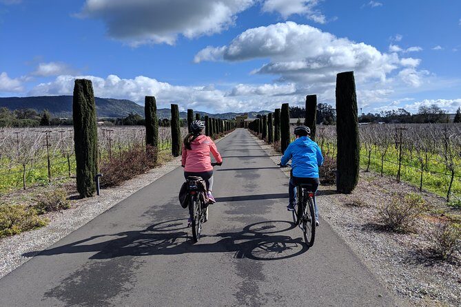 Sonoma Valley Pedal Assist Bike Tour - Who Should Consider This Tour?