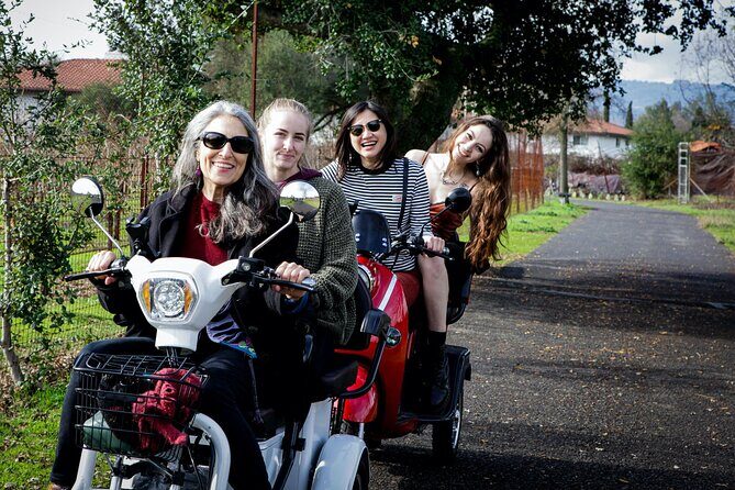 Sonoma Wine Country Electric Trike Tour - 3 hours - Authentic Experiences as Highlighted by Reviews