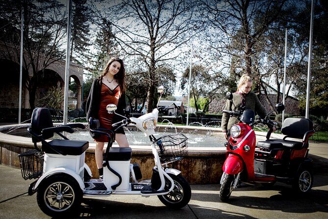 Sonoma Wine Country Electric Trike Tour - 5 hours - Cheese and Wine Tastings: Delicious Local Flavors