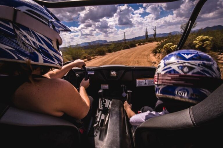 Sonoran Desert: Guided 2-Hour UTV Adventure - Authentic Reviews and What They Say