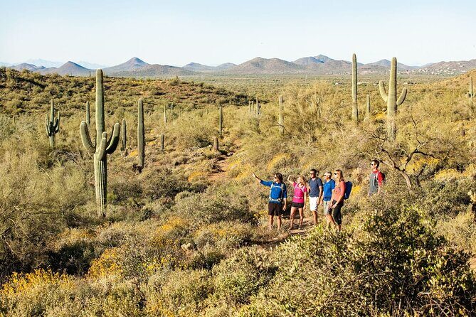 Sonoran Desert Guided Hike - The Value of the Experience