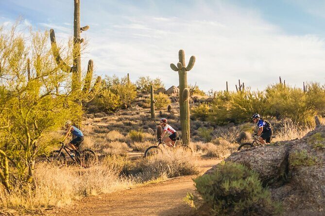 Sonoran Desert Guided Mountain Bike Tour - FAQ