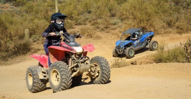 Sonoran Desert: Guided UTV or ATV Desert Tour - The Itinerary: What You Can Expect